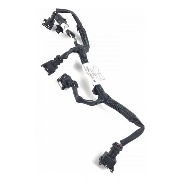 Chicote Bicos Injetores Renault Clio 1.0 2012 Original 21237