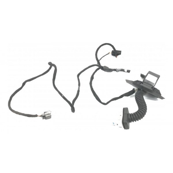 Chicote Porta Traseira Direita Journey 2010 Original 42305