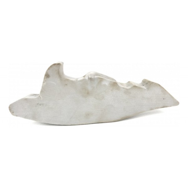 Espuma Interna Paralama Dianteiro Direito Outlander 2015