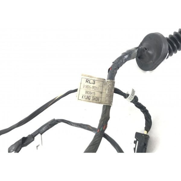 Chicote Porta Traseira Esquerda Sportage 2.0 16v 2009 50316