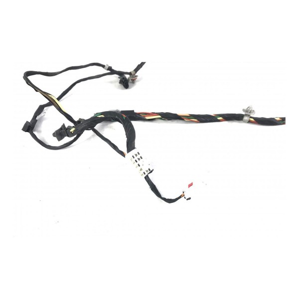 Chicote Porta Traseira Esquerda Sportage 2.0 16v 2009 50316