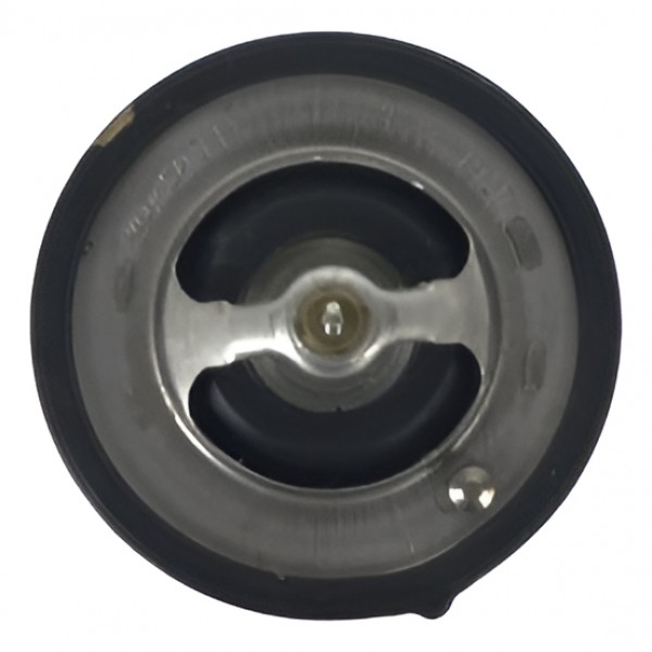 Válvula Termostática Hb20 1.6 16v 2014 Original (27493)