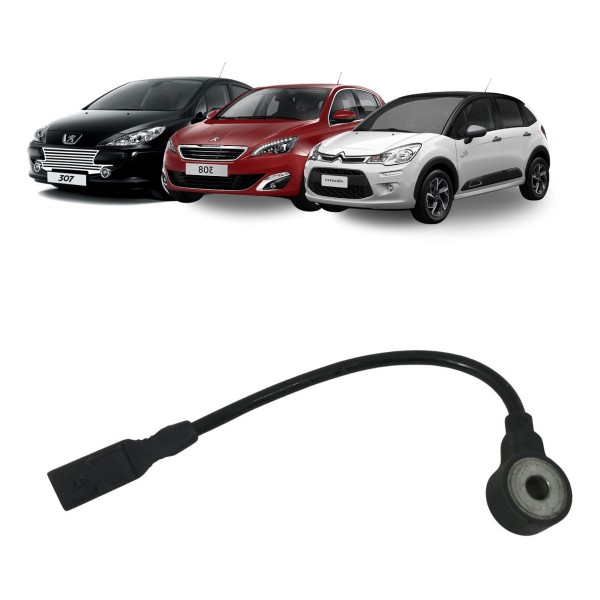 Sensor Detonação Peugeot 307/308 Citroen C4 C5