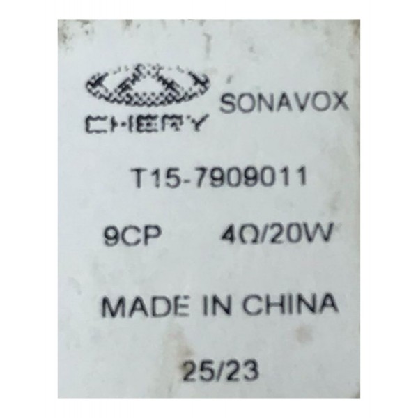 Tweeter Porta Chery Tiggo 5x 7 2021 À 2024