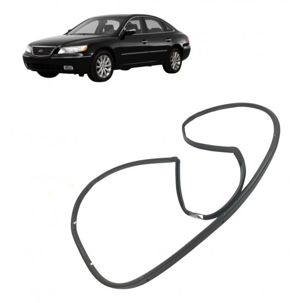 Borracha Anti Pó Traseira Esquerda Hyundai Azera 2011
