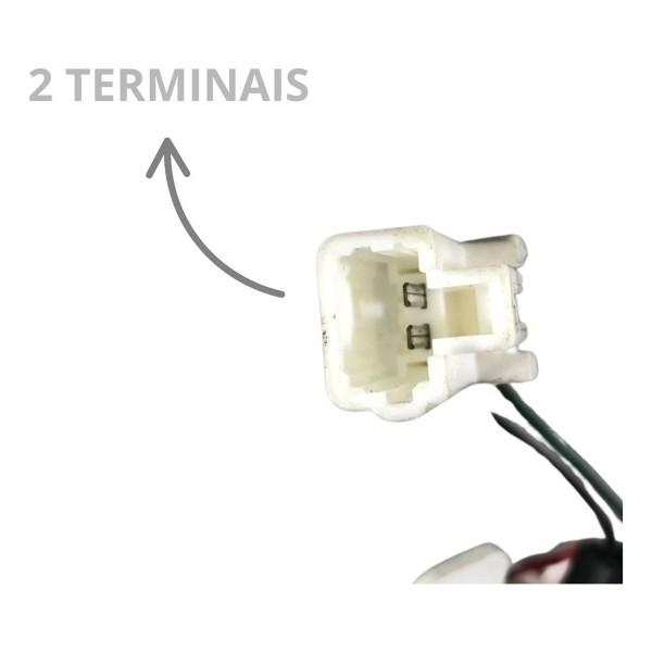 Luz Forro Porta Dianteira Esquerda Santa Fe 2009 A 2012