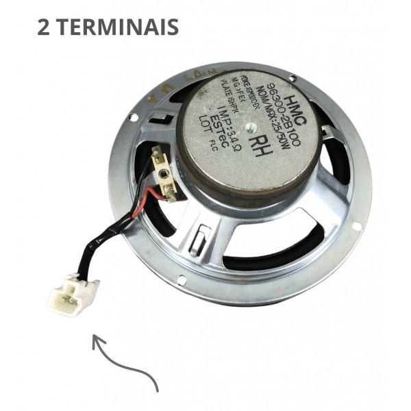 Auto Falante Hyundai Santa Fe 2010 2011 2012