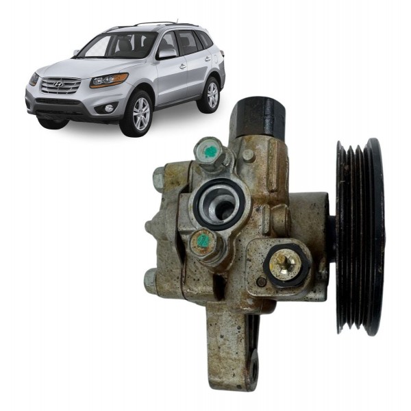 Polia Bomba Direção Hidráulica Hyundai Santa Fe 2007 A 2012
