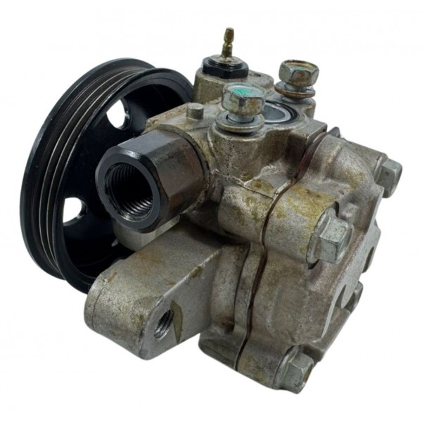 Polia Bomba Direção Hidráulica Hyundai Santa Fe 2007 A 2012