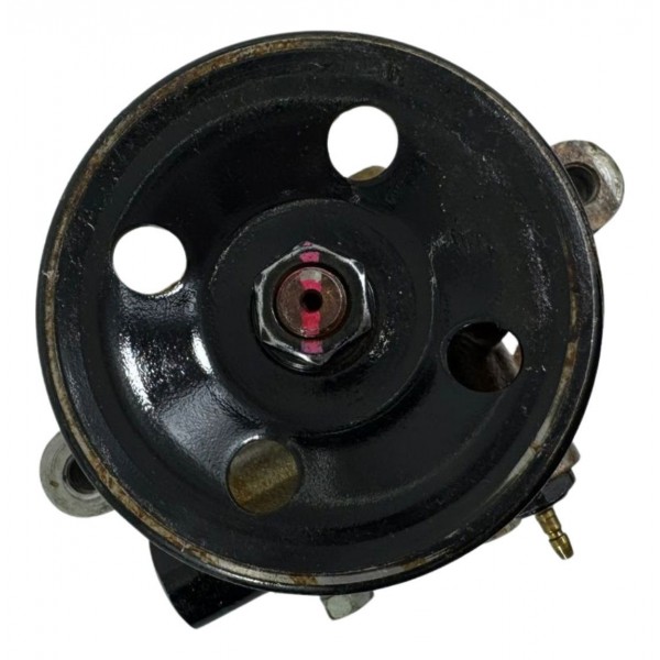 Polia Bomba Direção Hidráulica Hyundai Santa Fe 2007 A 2012