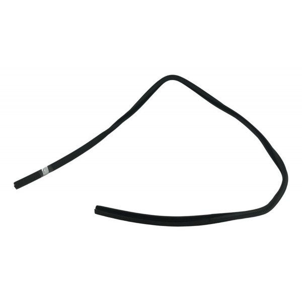 Borracha Canaleta Vidro Dianteira Direita Vw Gol 2022 2023