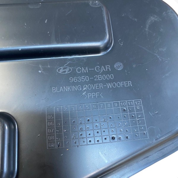 Capa Protetora Motor Hyundai Santa Fe 3.5 2010 2011 Detalhe