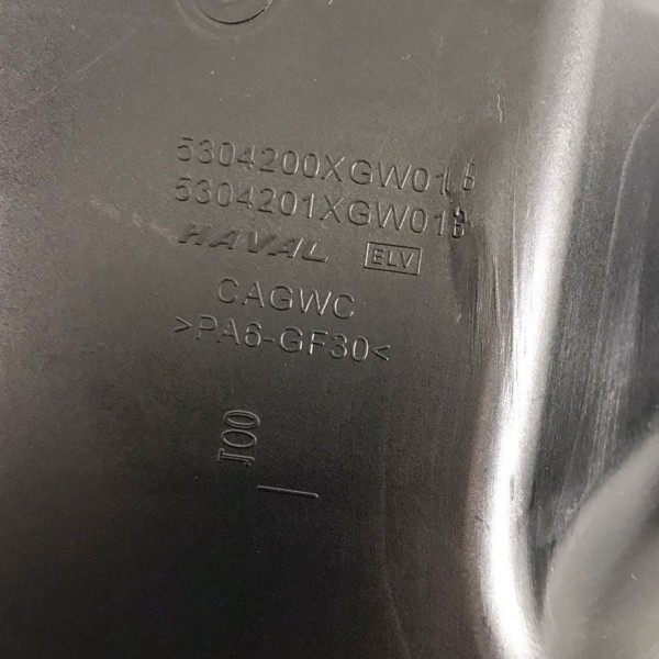 Defletor Esquerdo Grade Churrasqueira Gwm Haval H6 2024